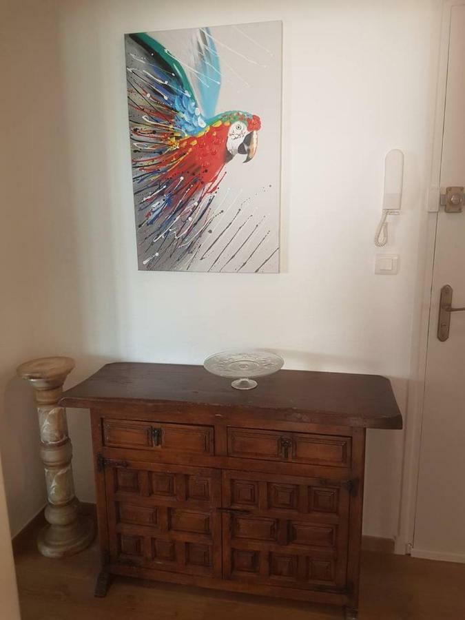 Appartement 23 Rue Jean Amade à Céret Extérieur photo